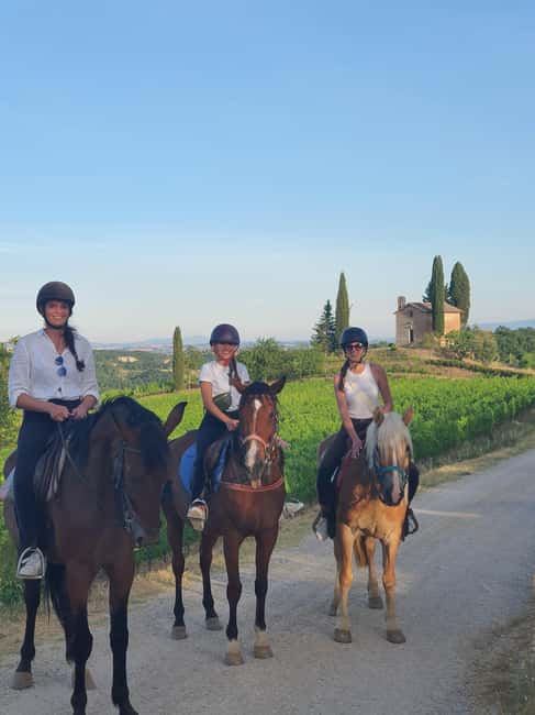 Siena: Horseback Riding Tour in the Tuscany Countryside - The trail through vineyards and olive groves