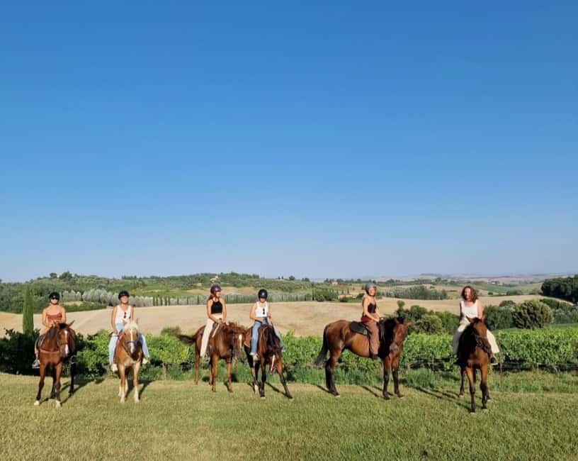 Siena: Horseback Riding Tour in the Tuscany Countryside - Why first-time riders usually feel at ease