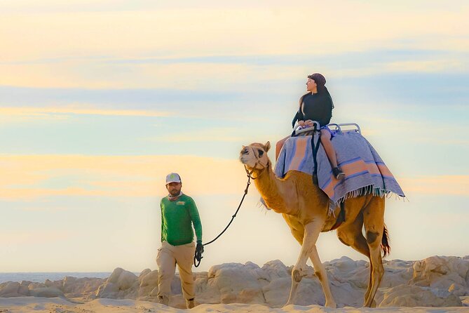 Sky Bike Free Camel Ride and Horseback Riding - What the $175 price really covers