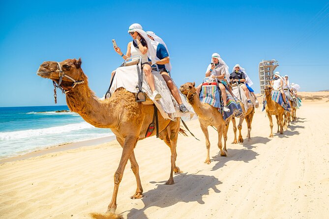 Sky Bike Free Camel Ride and Horseback Riding - Horseback riding beside the sea