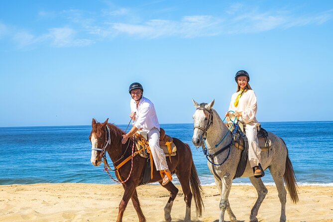 Sky Bike Free Camel Ride and Horseback Riding - Sunset, whales, and the best time to go