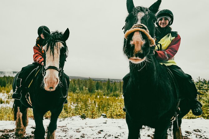 Small-Group Arctic Circle Horse Riding from Rovaniemi - Meeting the Irish Cob horses