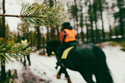 Small-Group Arctic Circle Horse Riding from Rovaniemi