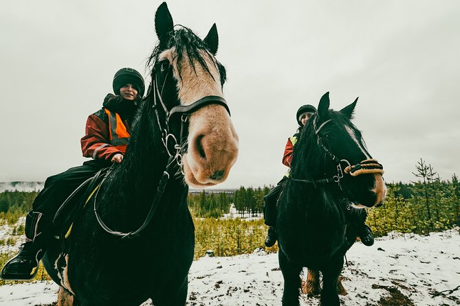 Small-Group Arctic Circle Horse Riding from Rovaniemi - Riding through the Lapland forest