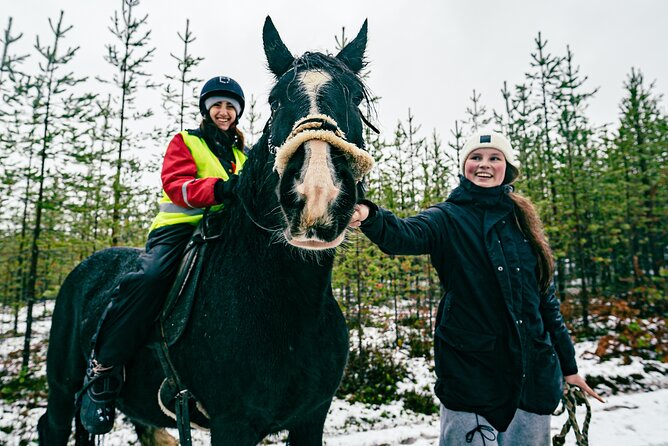 Small-Group Arctic Circle Horse Riding from Rovaniemi - Guides who add context and reassurance