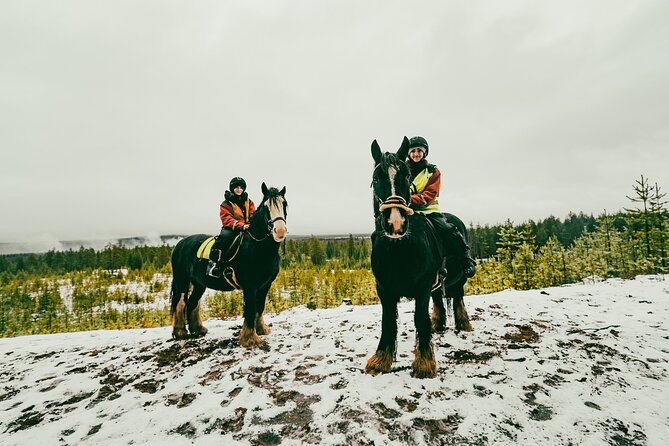 Small-Group Arctic Circle Horse Riding from Rovaniemi - A fire, hot drinks, and time to slow down