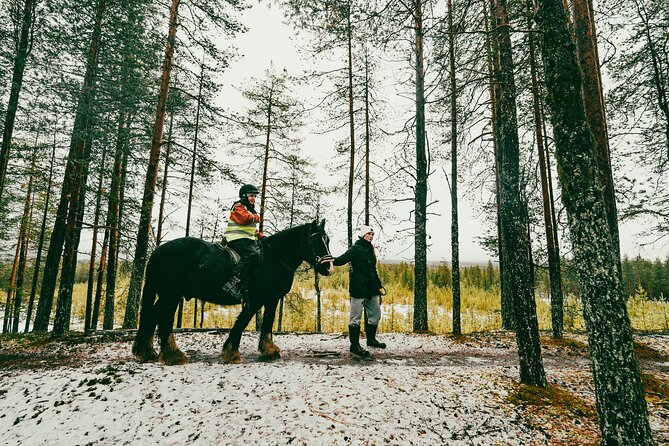 Small-Group Arctic Circle Horse Riding from Rovaniemi - Who should book this experience?