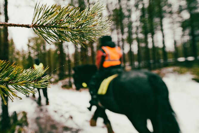 Small-Group Arctic Circle Horse Riding from Rovaniemi - Leaving Rovaniemi for the farm