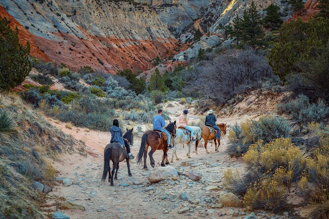 Small-Group East Zion White Mountain Horseback Ride - Returning to the stables