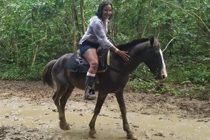 Small-Group Half-Day Horseback Riding Tour from Punta Cana - Leaving the resort strip for Uvero Alto