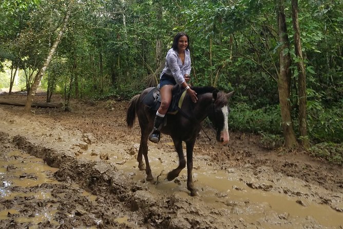 Small-Group Half-Day Horseback Riding Tour from Punta Cana - Riding toward the Caribbean beach
