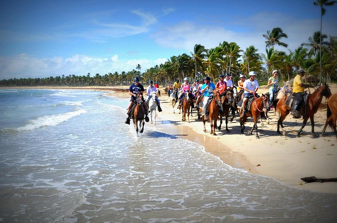 Small-Group Half-Day Horseback Riding Tour from Punta Cana - What the small-group format really means