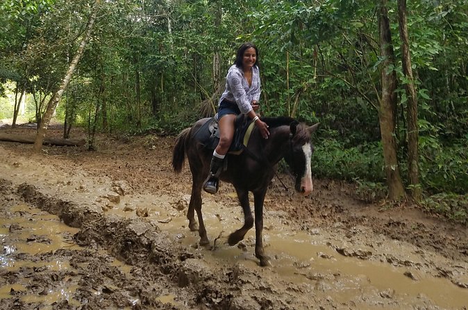 Small-Group Half-Day Horseback Riding Tour from Punta Cana - The horses and the human side of the ride