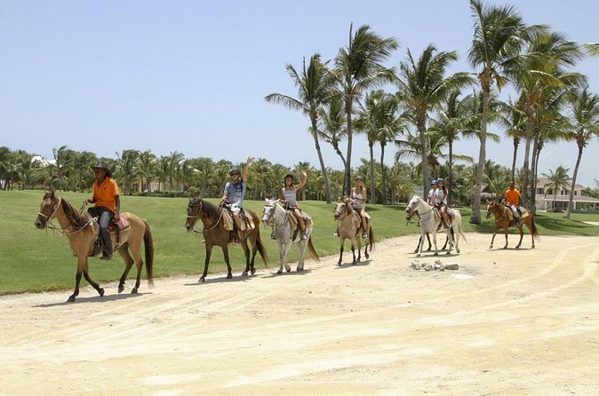 Small-Group Half-Day Horseback Riding Tour from Punta Cana - Who will enjoy this beach ride most?