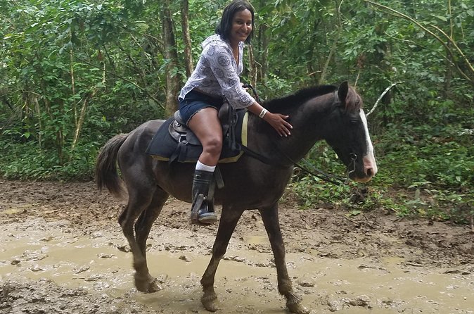 Small-Group Half-Day Horseback Riding Tour from Punta Cana - Booking, timing, and cancellation details