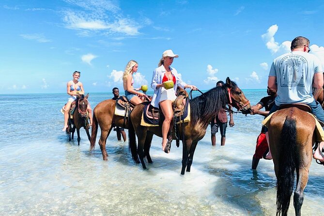 Small Group Horseback Riding Adventure in Caicos Islands - Riding from Malcolm Road to the beach