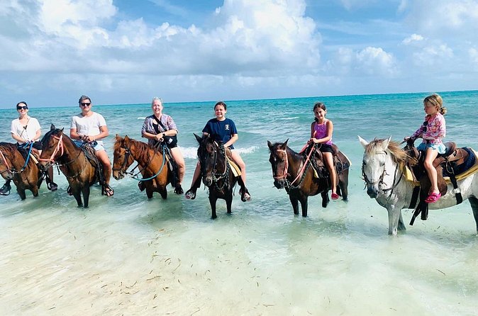 Small Group Horseback Riding Adventure in Caicos Islands - Beach conditions and the setting