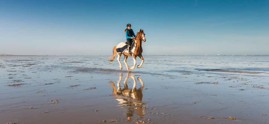 Soma Bay: Horse Riding Beach and Desert Tour With Transfer - Key points to know before you book