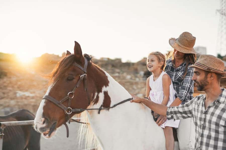 Soma Bay: Horse Riding Beach and Desert Tour With Transfer - Crossing golden desert trails