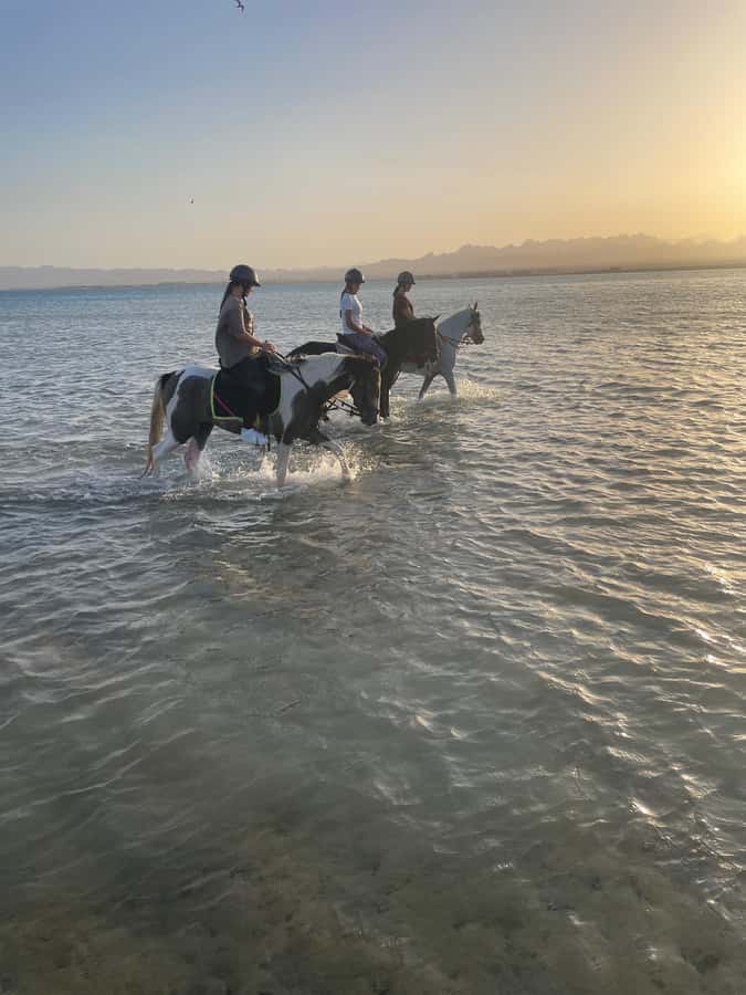 Soma Bay: Horse Riding Beach and Desert Tour With Transfer - Riding beside the Red Sea