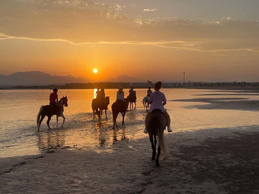 Soma Bay: Horse Riding Beach and Desert Tour With Transfer - How the pace works for beginners and experienced riders