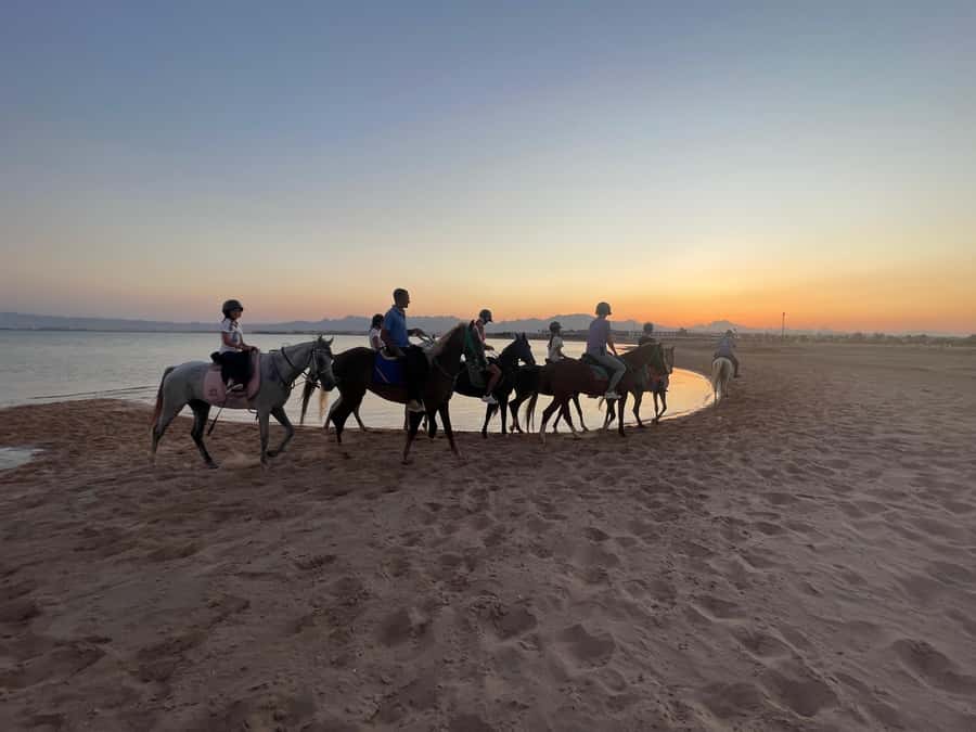 Soma Bay: Horse Riding Beach and Desert Tour With Transfer - Water, tea, and the small comforts