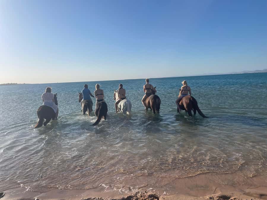 Soma Bay: Horse Riding Beach and Desert Tour With Transfer - What the $20 price really covers
