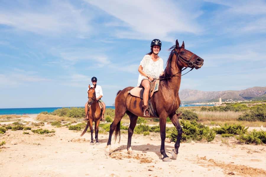 Soma Bay: Horse Riding Beach and Desert Tour With Transfer - Who will enjoy this most