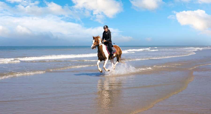 Soma Bay: Horse Riding Beach and Desert Tour With Transfer - Getting comfortable with your horse