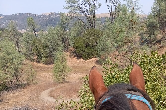 Sonoma Horseback-Riding Tour - What the Southlake Trail feels like on horseback