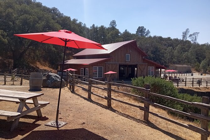 Sonoma Horseback-Riding Tour - Timing your Sonoma horseback ride