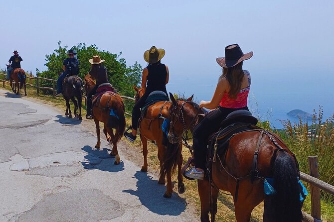 Sorrento Guided Horseback Riding Tour - Key points to know before you book