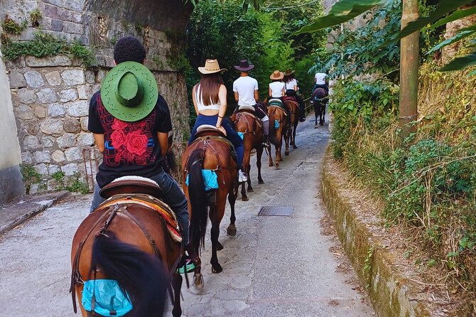 Sorrento Guided Horseback Riding Tour - Pineta Le Tore, Sorrento’s highest green point