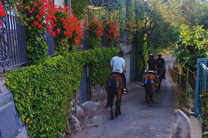 Sorrento Guided Horseback Riding Tour - What the $90.74 price delivers