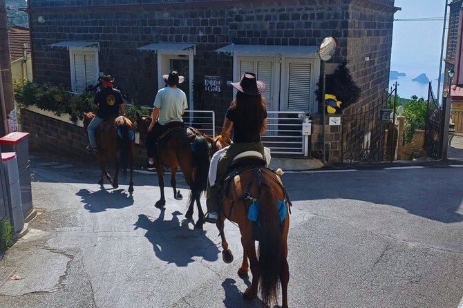 Sorrento Guided Horseback Riding Tour - Who will enjoy this ride most