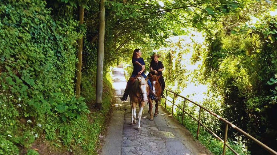 Sorrento: Horseback Riding Tour with Guide - Weather, clothing, and useful preparation