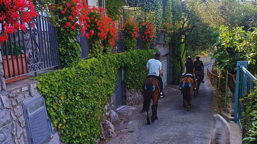 Sorrento: Horseback Riding Tour with Guide - The first wide view: Li Galli, Capri, and the Salerno Coast