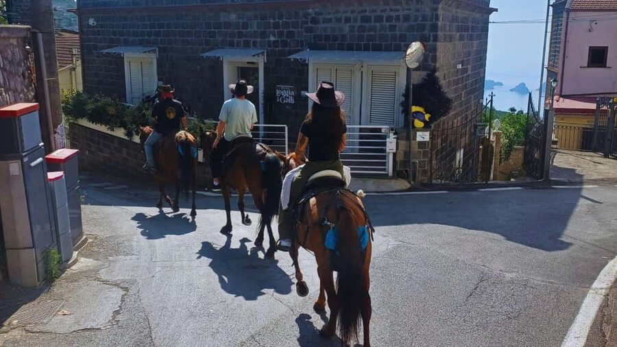Sorrento: Horseback Riding Tour with Guide - What the $85 price includes