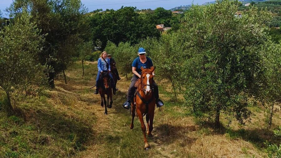 Sorrento: Horseback Riding Tour with Guide - Is it suitable for beginners?