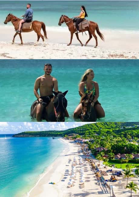St. Johns: Horseback Riding Bareback Swim, &Fort James Beach - The main attraction: a horse swim off Fort James Beach
