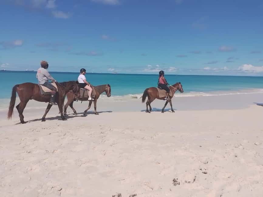 St. Johns: Horseback Riding Bareback Swim, &Fort James Beach - The land ride mixes beach scenery with Antigua’s past