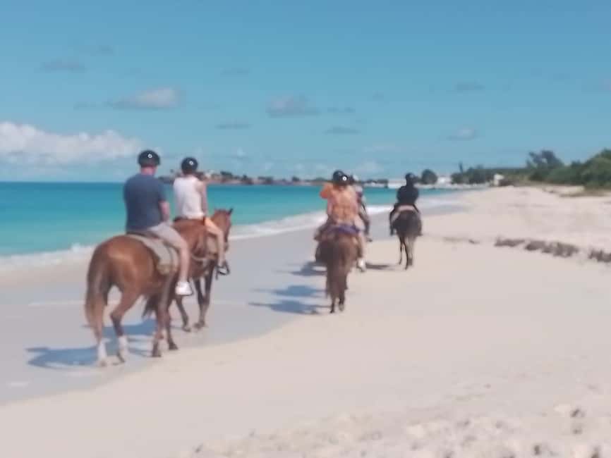 St. Johns: Horseback Riding Bareback Swim, &Fort James Beach - What to pack for a smoother ride
