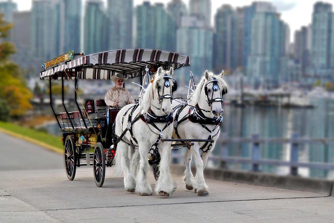 Stanley Park Horse Drawn Tour in Vancouver - Park Drive and the Seawall