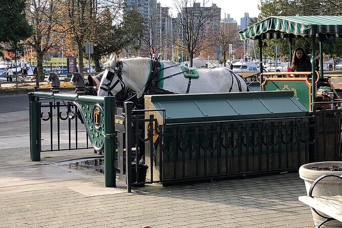 Stanley Park Horse Drawn Tour in Vancouver - The horses and the human side of the ride