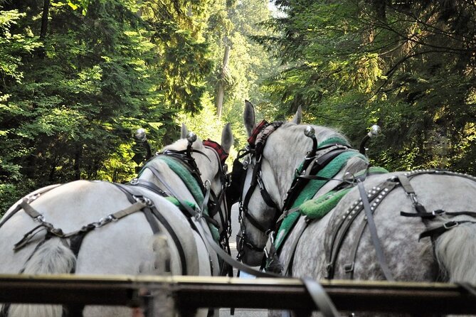 Stanley Park Horse Drawn Tour in Vancouver - Royal Vancouver Yacht Club and Deadman’s Island