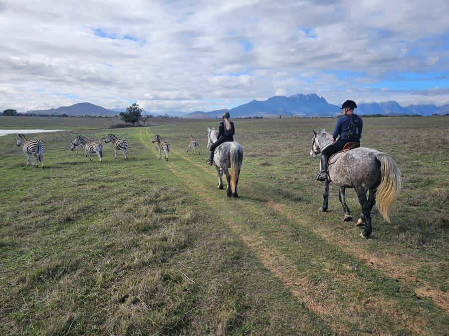 Stellenbosch: Horse Riding Wildlife Safari - A wildlife ride 12 kilometres from Stellenbosch