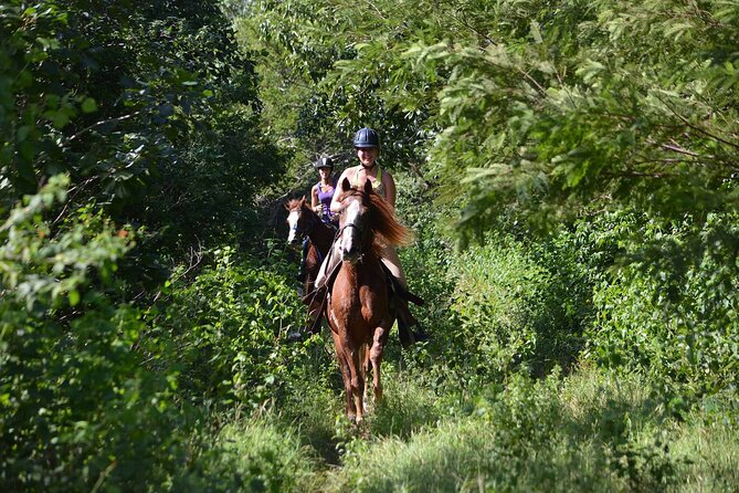 STROLL the Jungle Trails on a HORSE. Includes Transportation and Equipment. - From Cancun to the stables at Playa Maroma