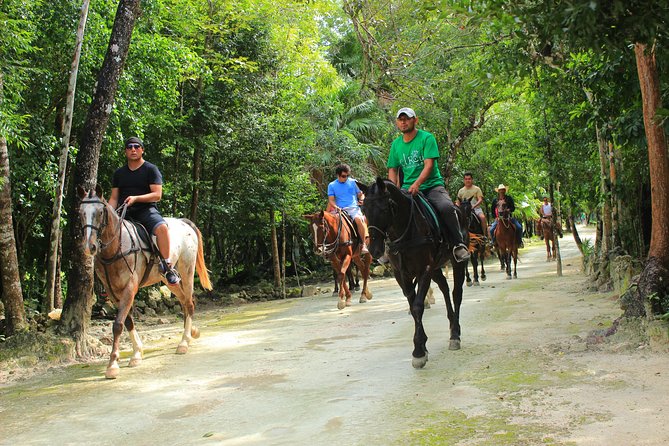 STROLL the Jungle Trails on a HORSE. Includes Transportation and Equipment. - Safety, comfort, and the small practical details