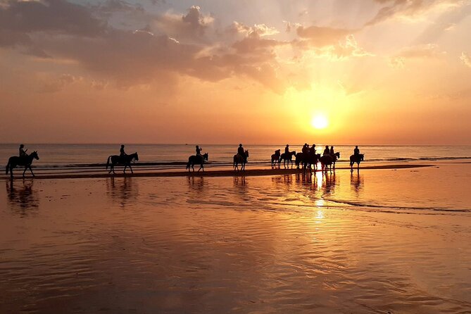 Stunning Sundown Beach Ride on horseback! MINIMUM 2 PARTICIPANTS - Key points to know before you book