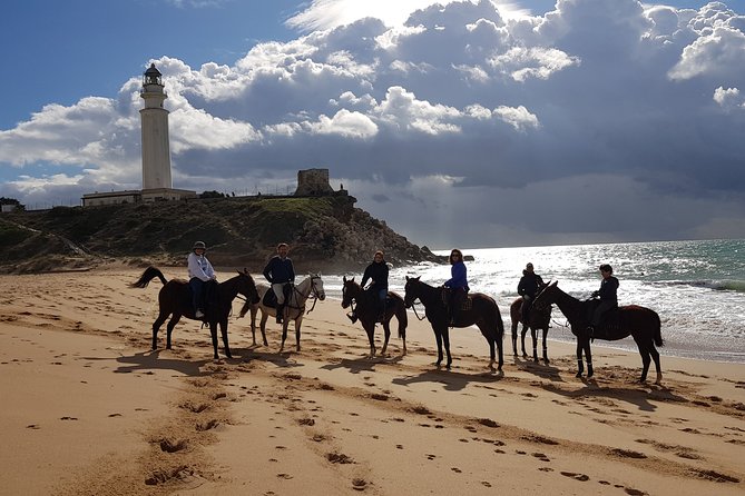 Stunning Sundown Beach Ride on horseback! MINIMUM 2 PARTICIPANTS - Is $67.88 good value?